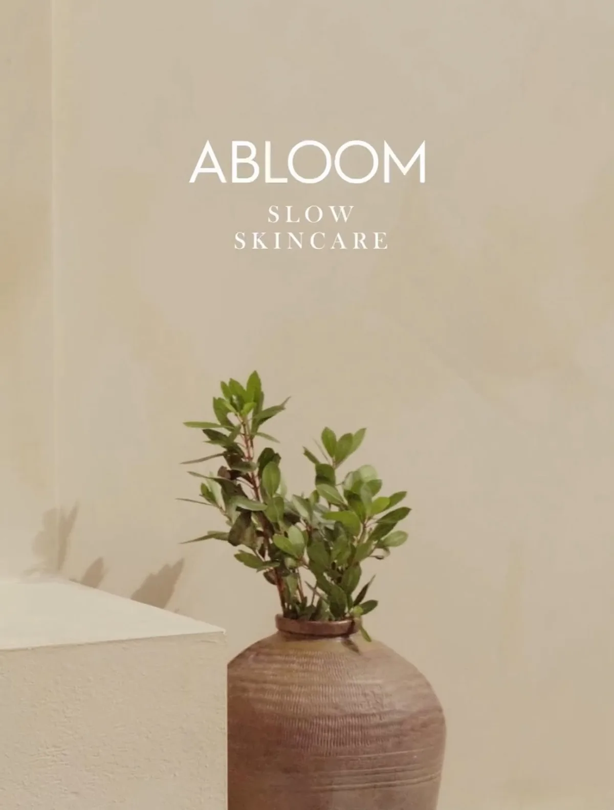 Het logo Abloom Slow Skincare boven een olijfboompje in een vaas
